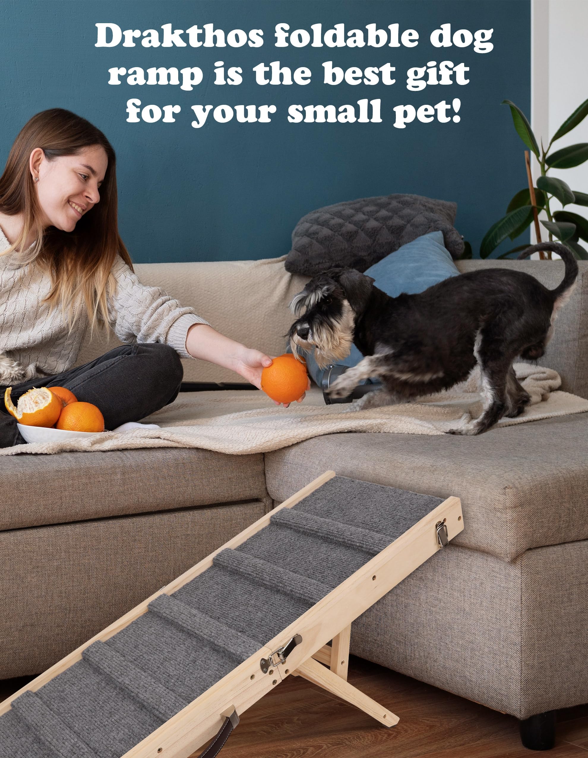 Drakthos dog ramp designed for small dogs with arthritis-friendly incline opportunities.