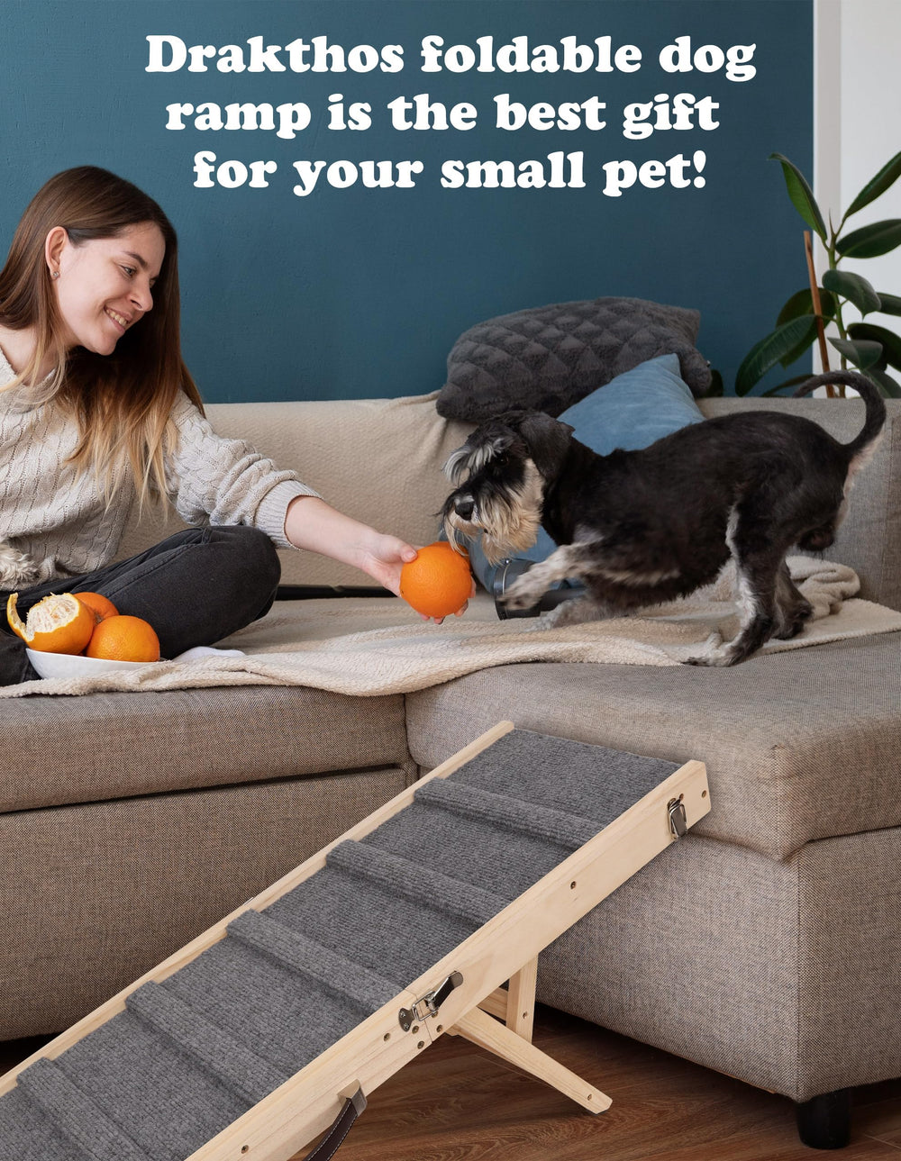 Drakthos dog ramp designed for small dogs with arthritis-friendly incline opportunities.