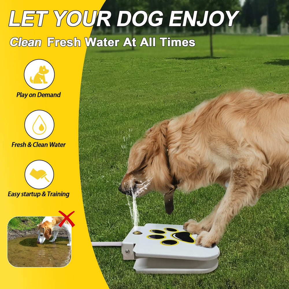 DRAROAD paw activation shows dog stepping to drink from the fountain