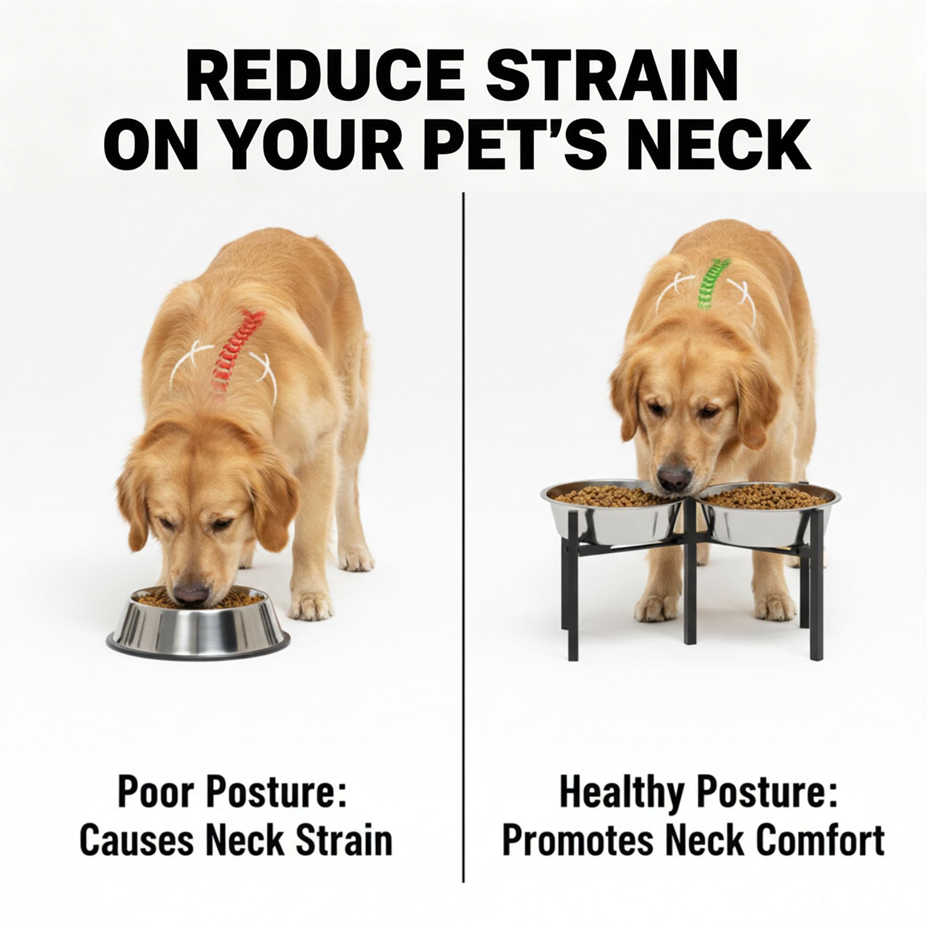 Drawinsage dual-height stand with 4 to 8 inch range for various breeds.