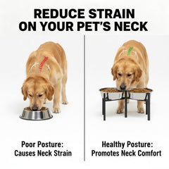 Drawinsage dual-height stand with 4 to 8 inch range for various breeds.