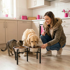 Drawinsage heavy-duty iron stand emphasizes durability for active large dogs.