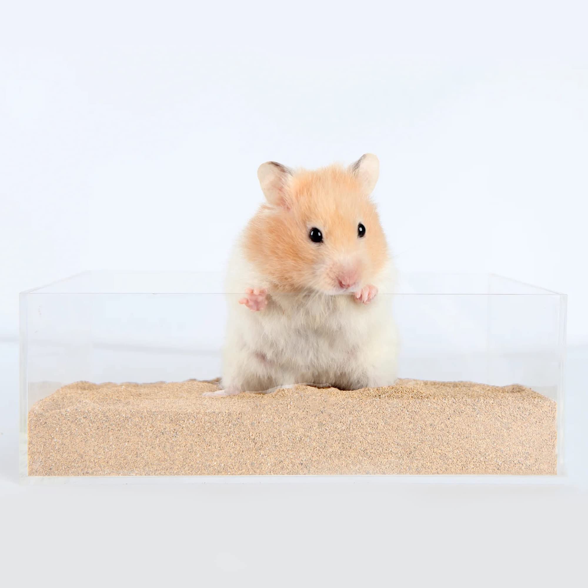 DR.DUDU desert sand for Syrian hamsters and mice in gentle cleansing routines.