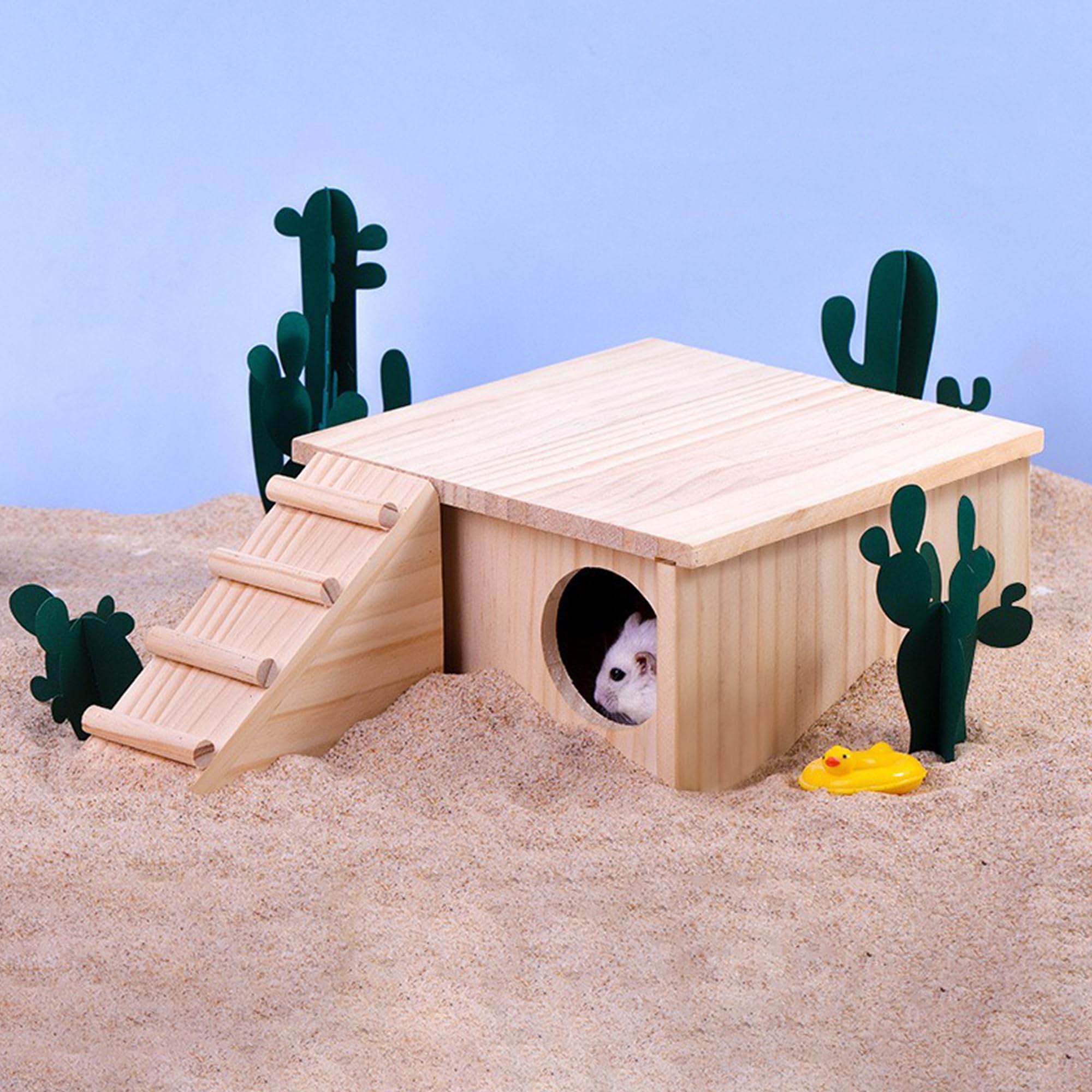 Close-up of DR.DUDU hamster bath sand texture reveals natural grains for safe dust baths.