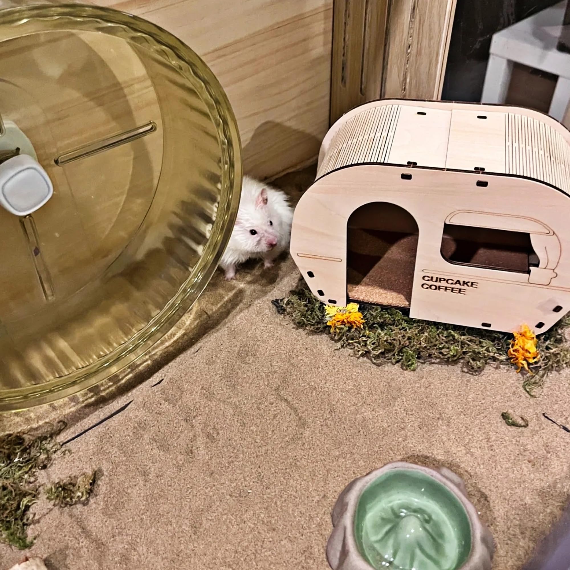 DR.DUDU dust-free bath sand supports longer-lasting grooming sessions.