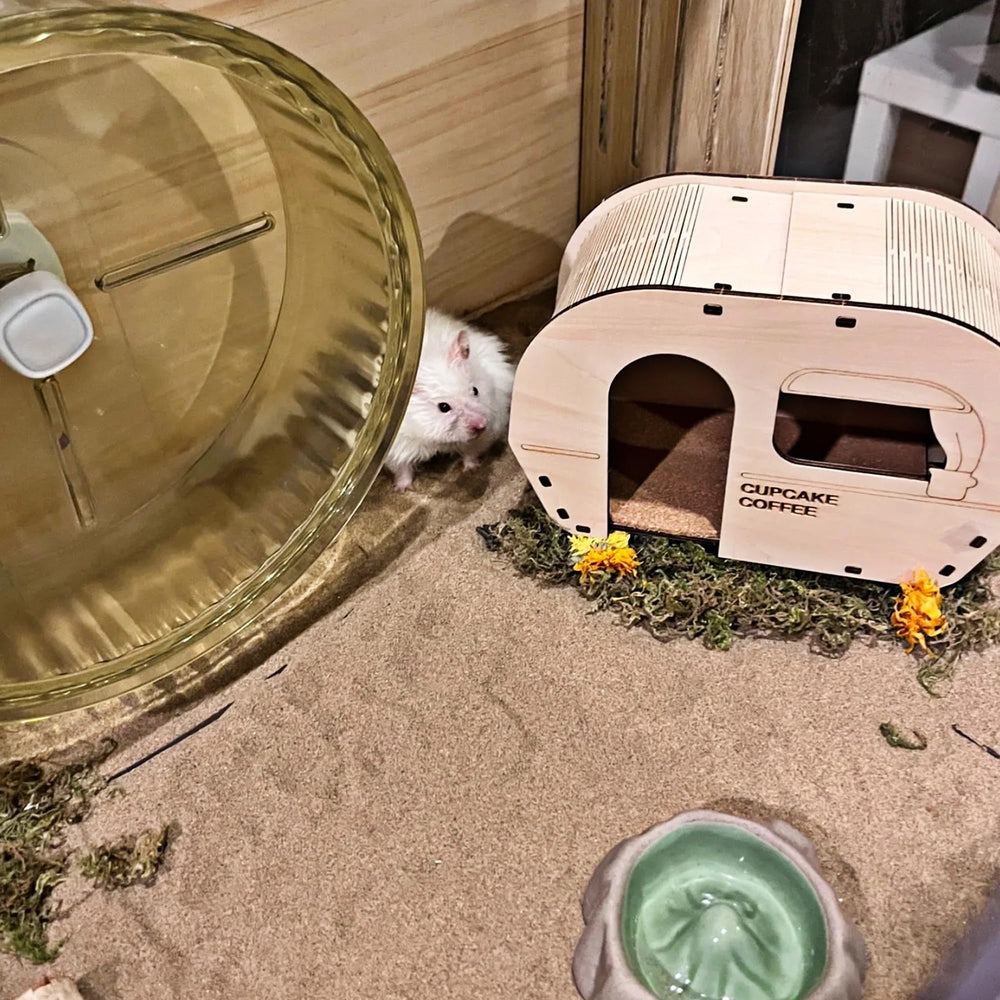 DR.DUDU dust-free bath sand supports longer-lasting grooming sessions.