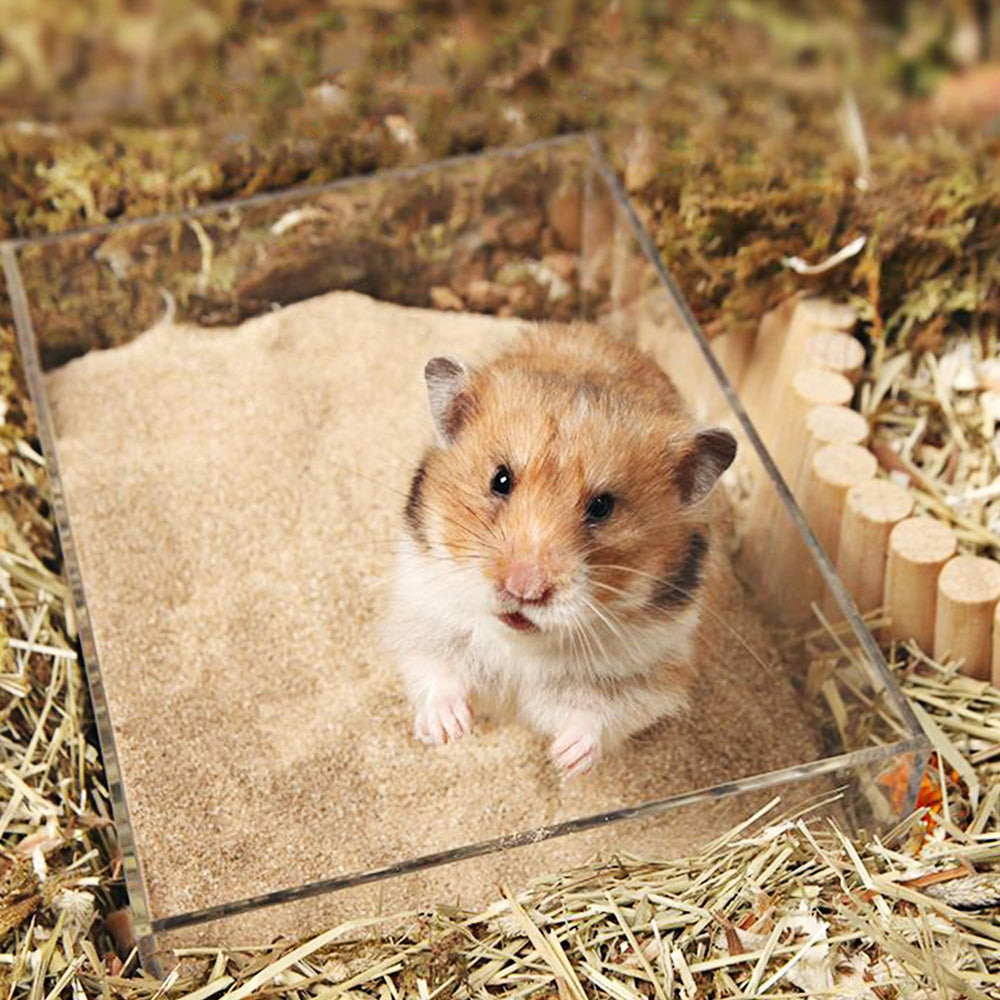 DR.DUDU bath sand illustrating odor control for a fresher enclosure.