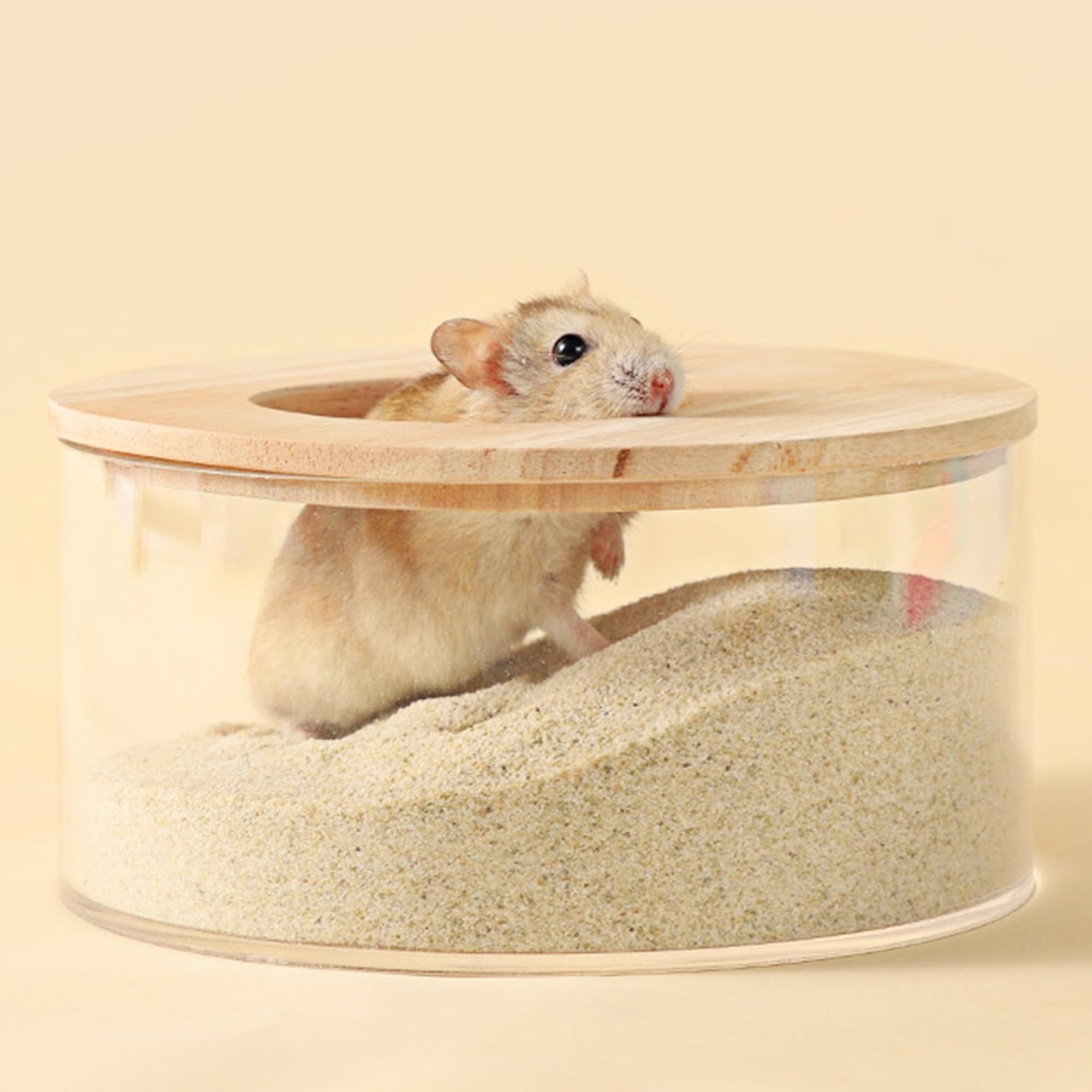 DR.DUDU bath sand shown in a small-animal habitat for grooming.