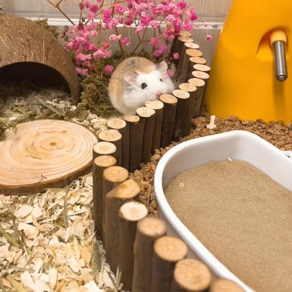 DR.DUDU sand for small pets enhances bathing without mess.