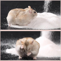 DR.DUDU small pets enjoy sand baths with this natural desert sand.