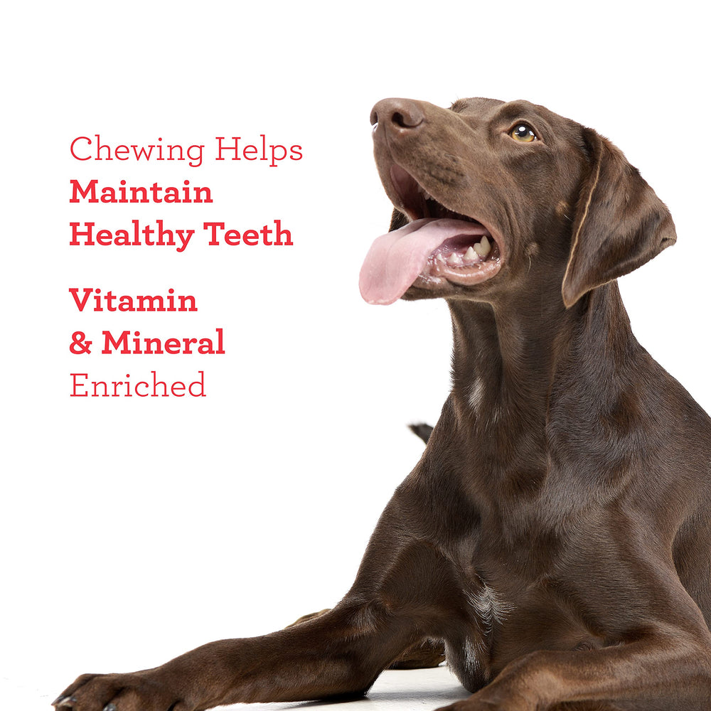 DreamBone chew time moment image prompting interactive feeding without rawhide.