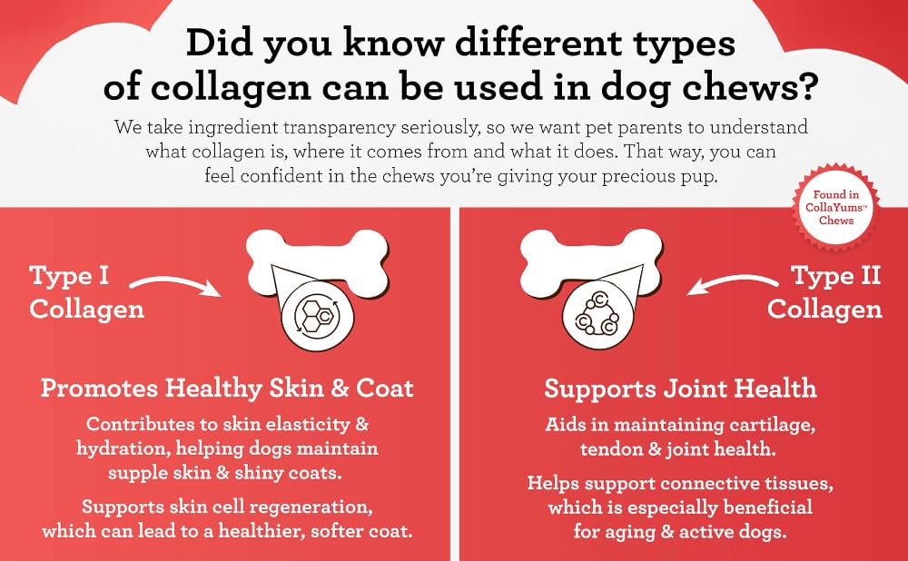 DreamBone CollaYUMS promote dental care during enjoyable chewing.
