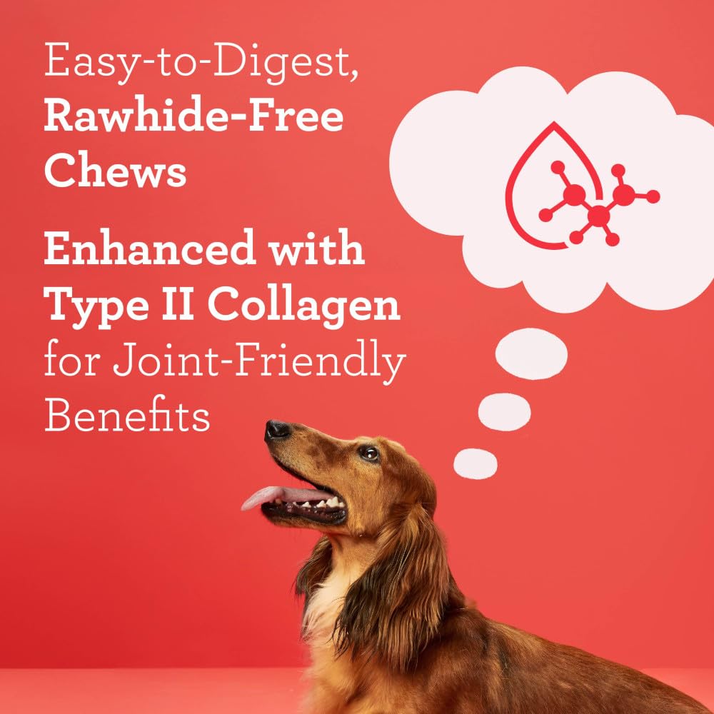 DreamBone CollaYUMS rawhide-free knot chew for active dogs.