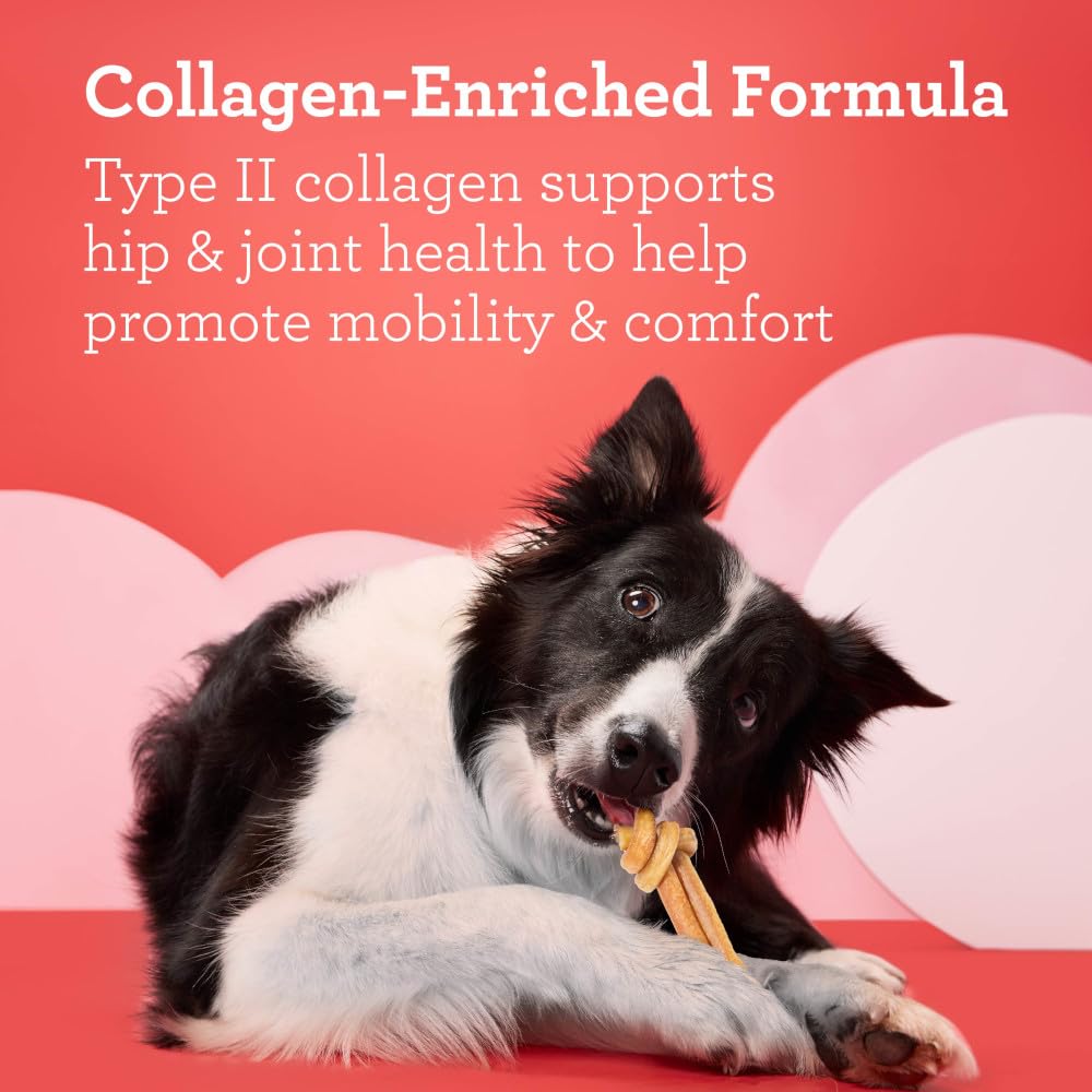 DreamBone CollaYUMS for seniors and large breeds may support mobility.