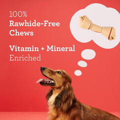 DreamBone small dog chews 10-count pack shown, supports dental health.