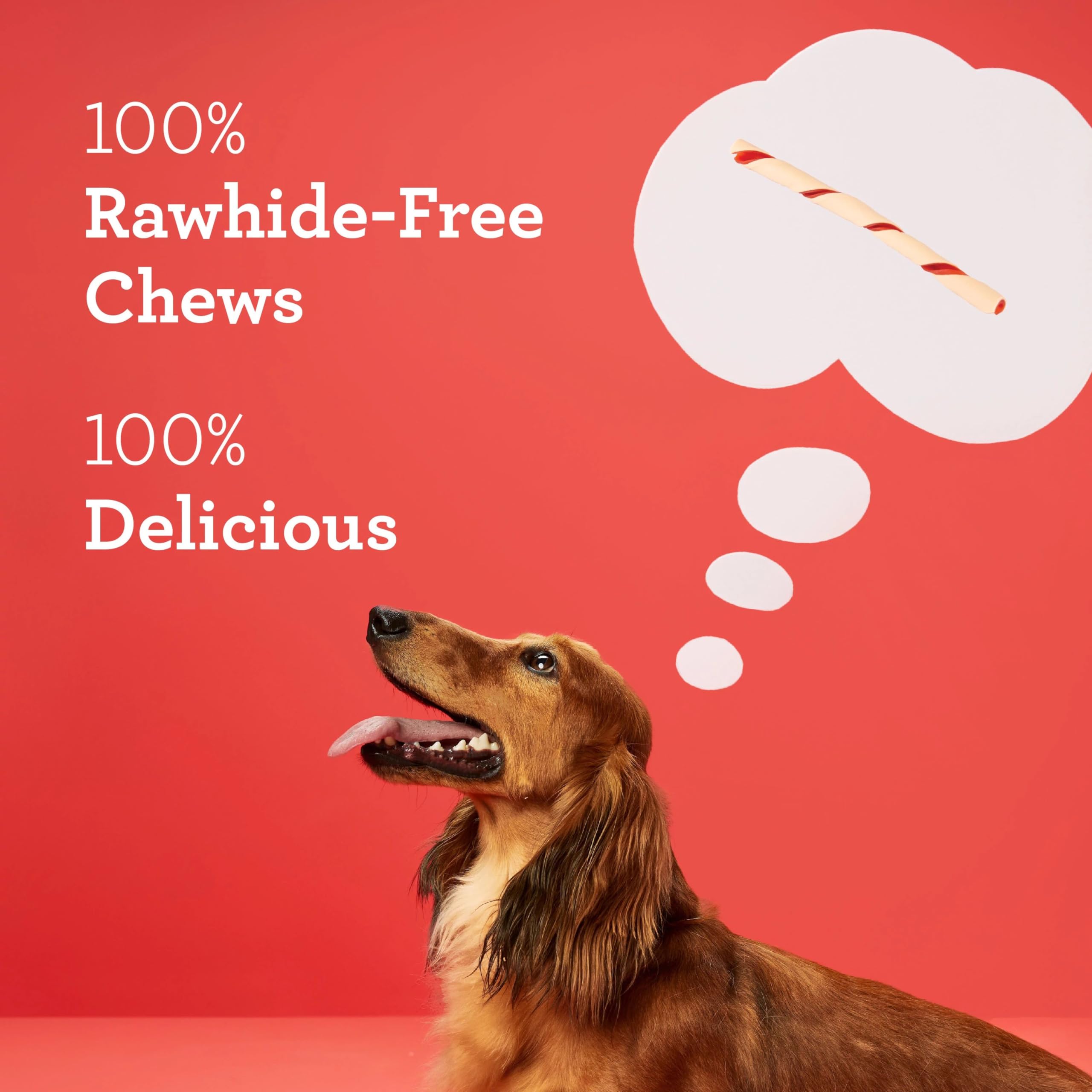 DreamBone Twist Sticks 100-count pack for long-lasting treats.