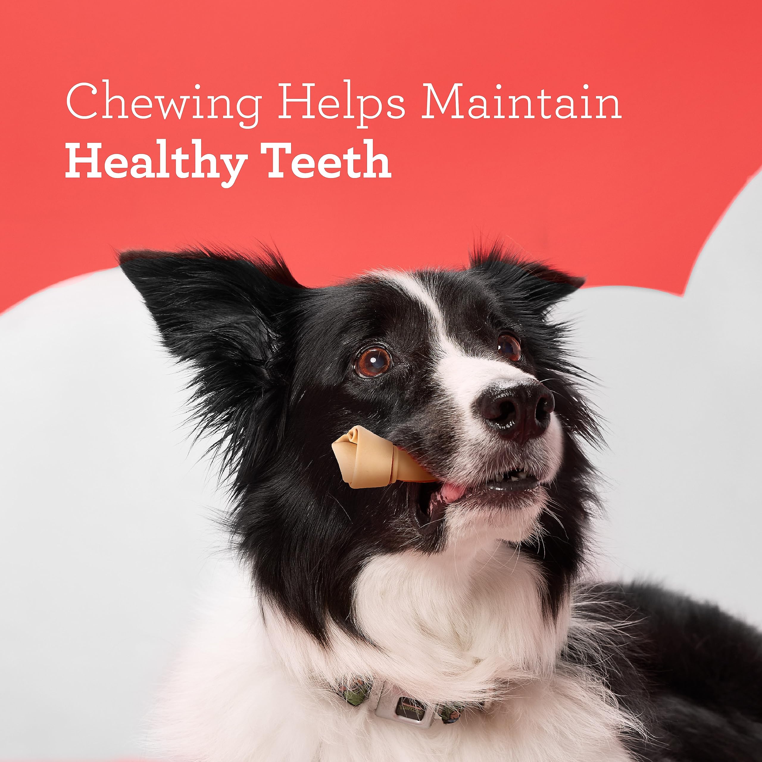 DreamBone vitamin and mineral enriched chews for daily dog nutrition.