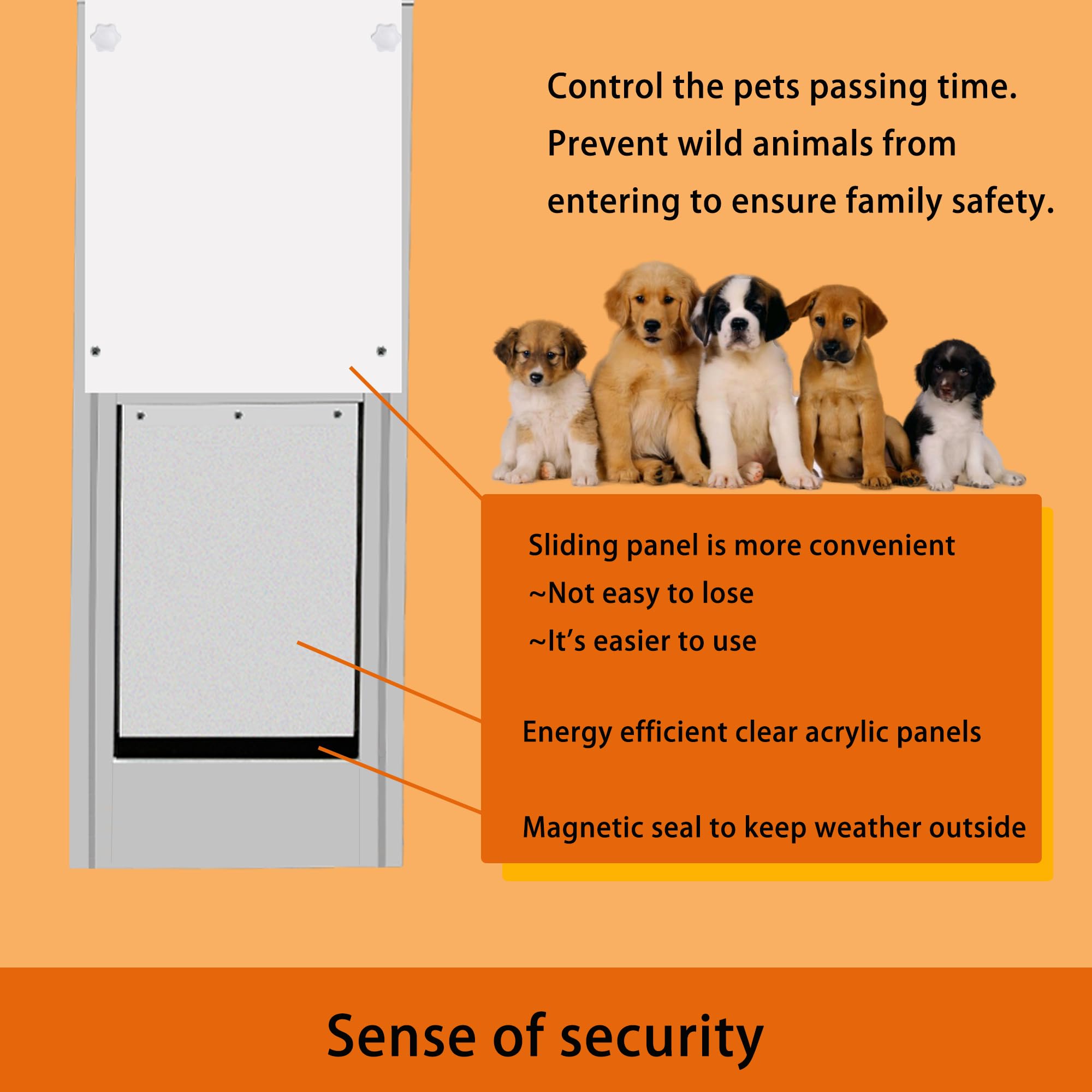 Dreampedal-pet-door-in-use shows pets exploring safely.