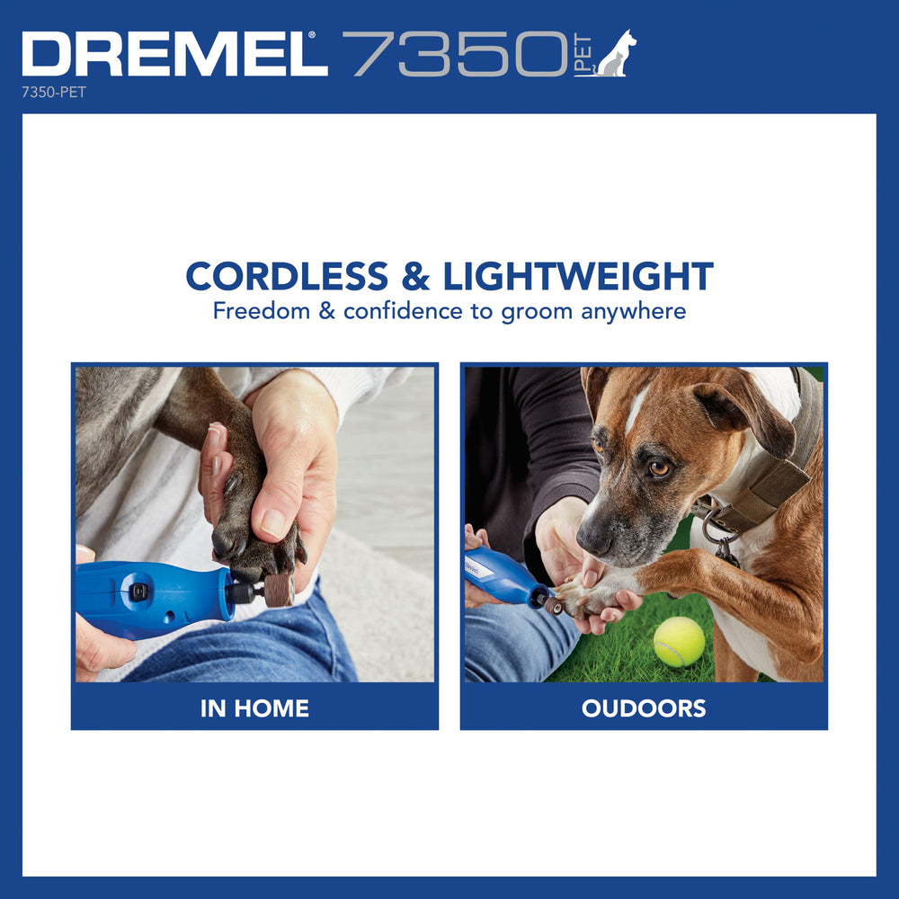 60-grit sanding bands included with Dremel 7350-PET
