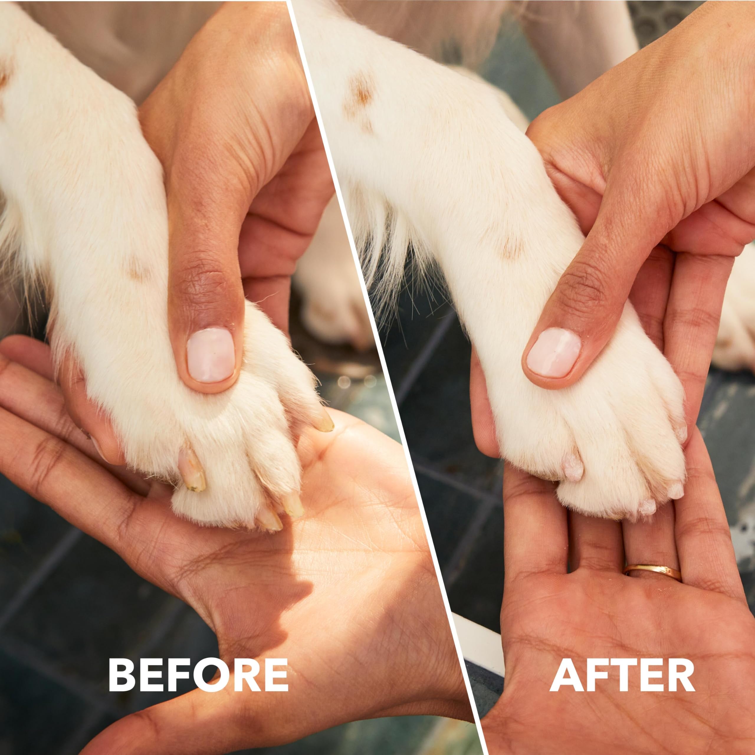 Dremel PawControl 4V Li-ion battery powers cordless sessions.