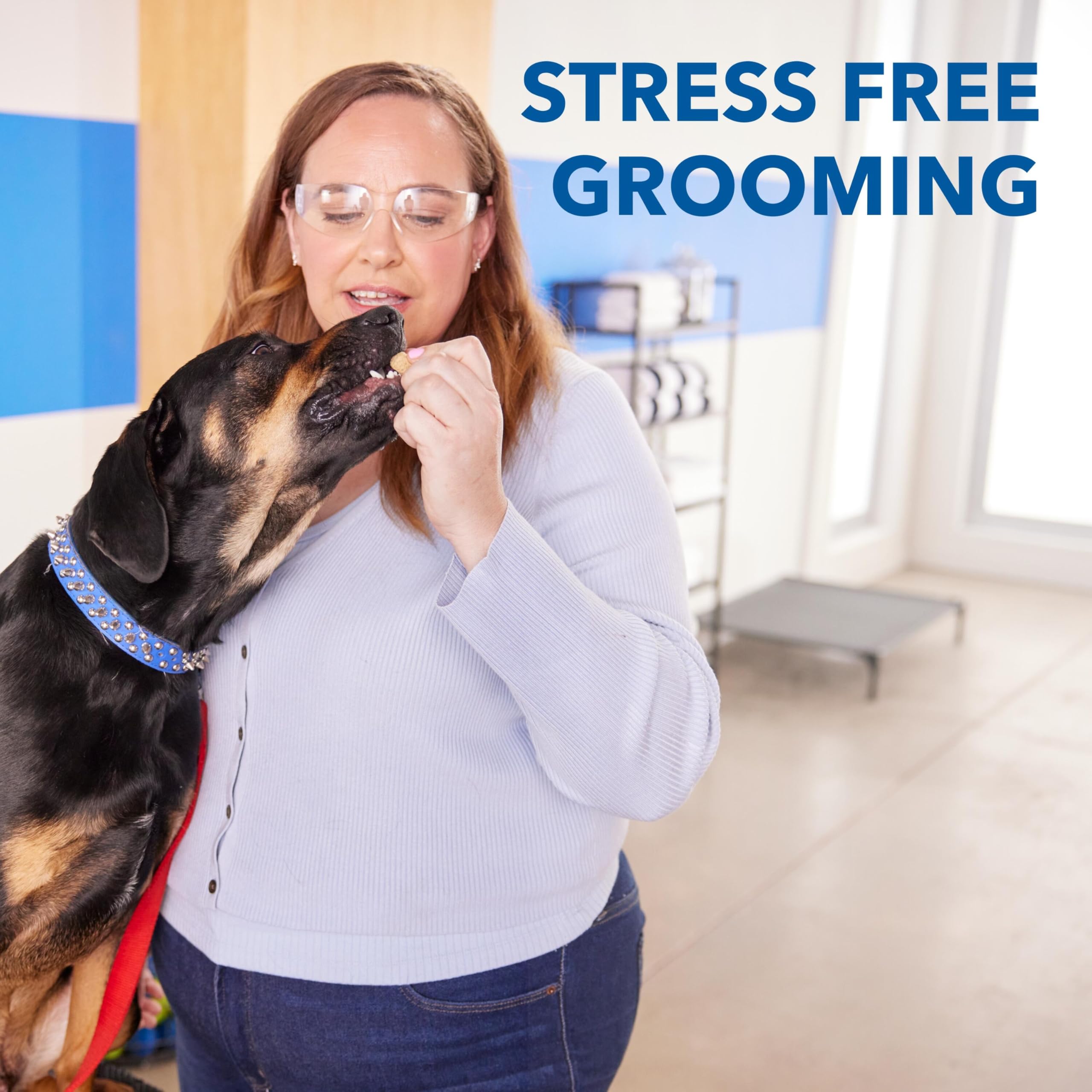Dremel PawControl cordless design supports grooming anywhere.