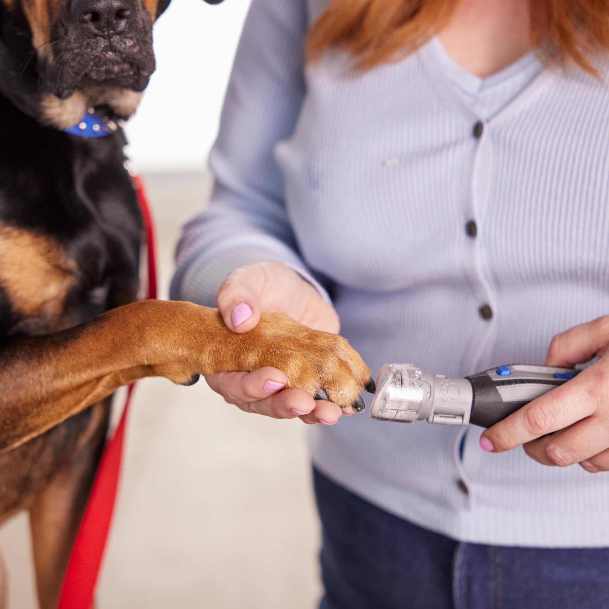 Dremel Pet Grooming Nail Guard clear cap view for safe nails.