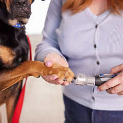 Dremel Pet Grooming Nail Guard clear cap view for safe nails.