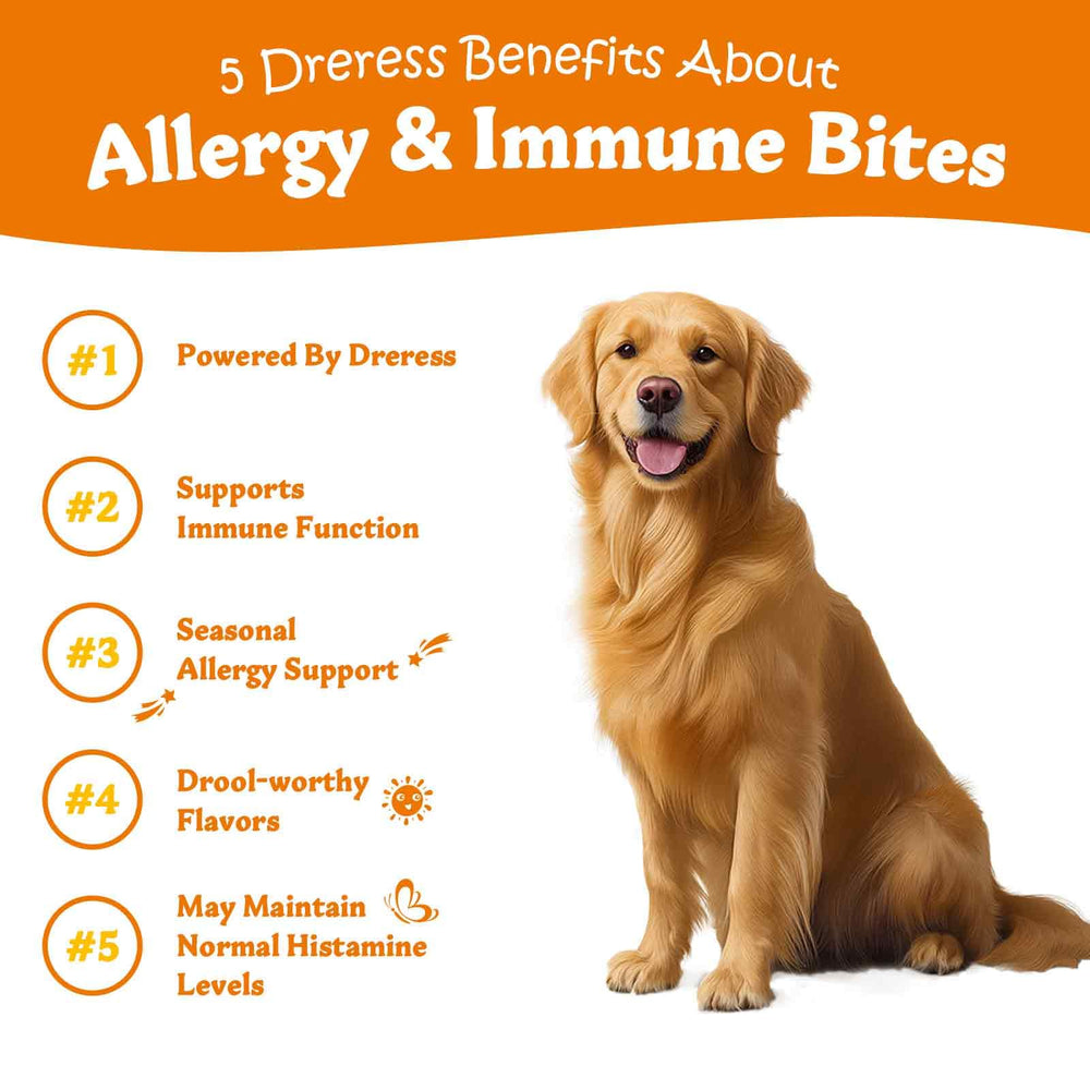 Dreress lamb-flavor dog allergy chews on kitchen counter for everyday itch relief.