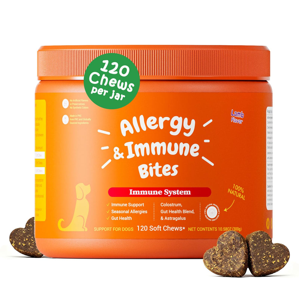 Dreress multi-symptom dog allergy relief chews with lamb flavor bottle front—soothes itching, supports digestion.