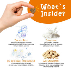 Dreress probiotic chews close up highlighting gut balance and immune support.
