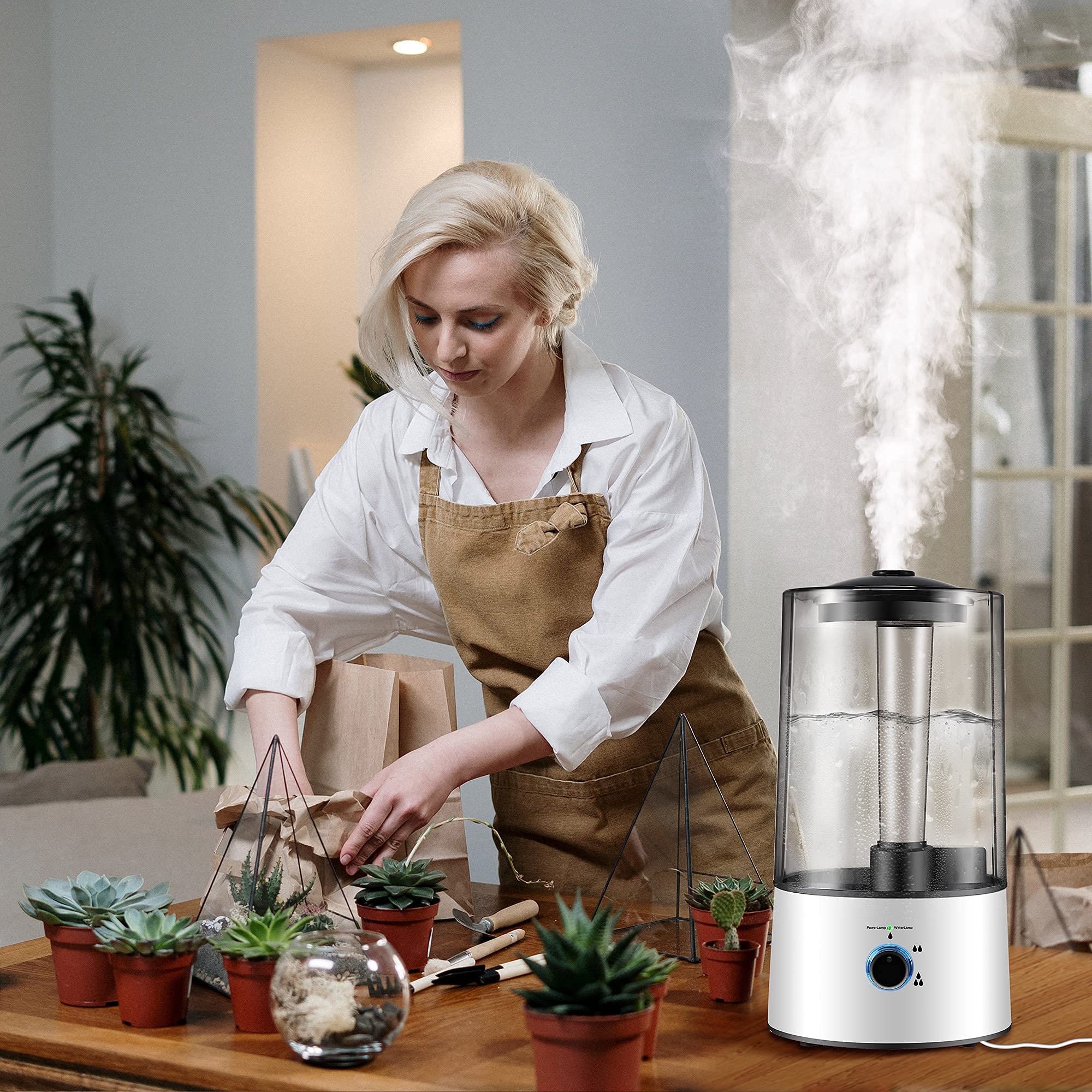 Dreyoo Reptile Humidifier compatible with various terrariums and enclosures.