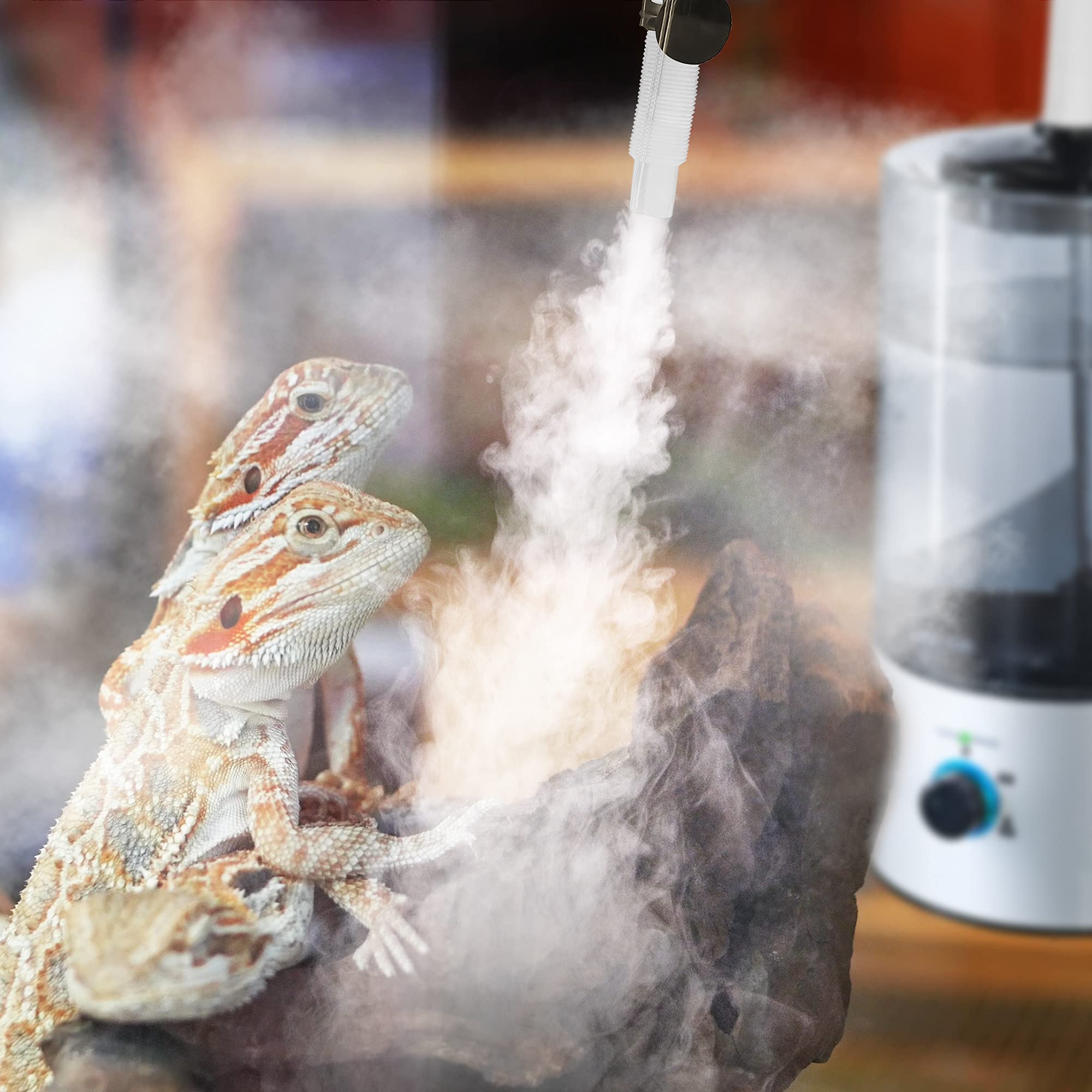 Dreyoo Reptile Humidifier shows visual water level for refill planning.
