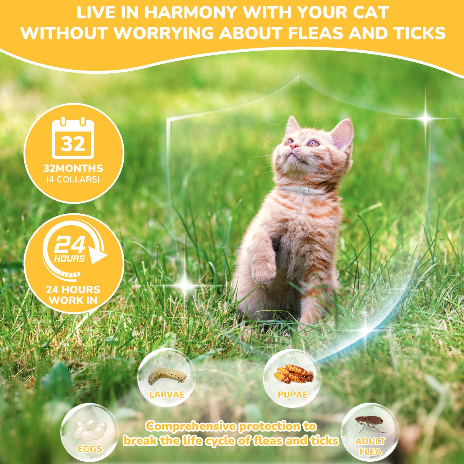 DrFlito cat flea collar waterproof feature during outdoor play
