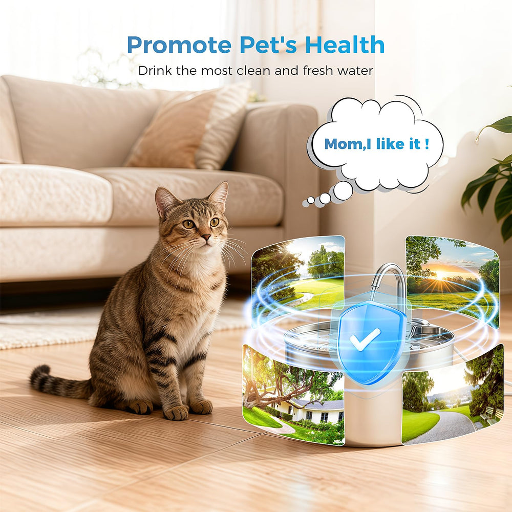 DrFlito clean water experience promotes healthier hydration for cats