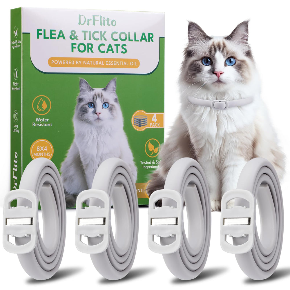 DrFlito four-pack cat flea collar set shown for full-body protection
