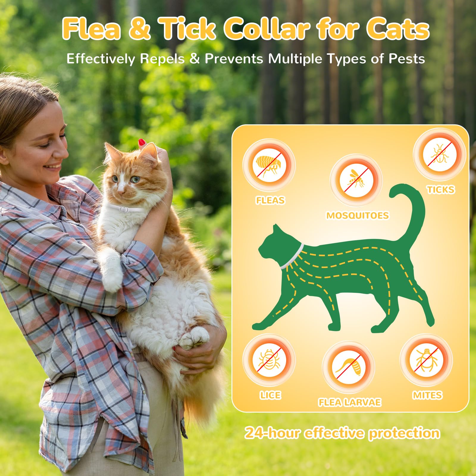 DrFlito four-pack value kit ready for ongoing cat protection