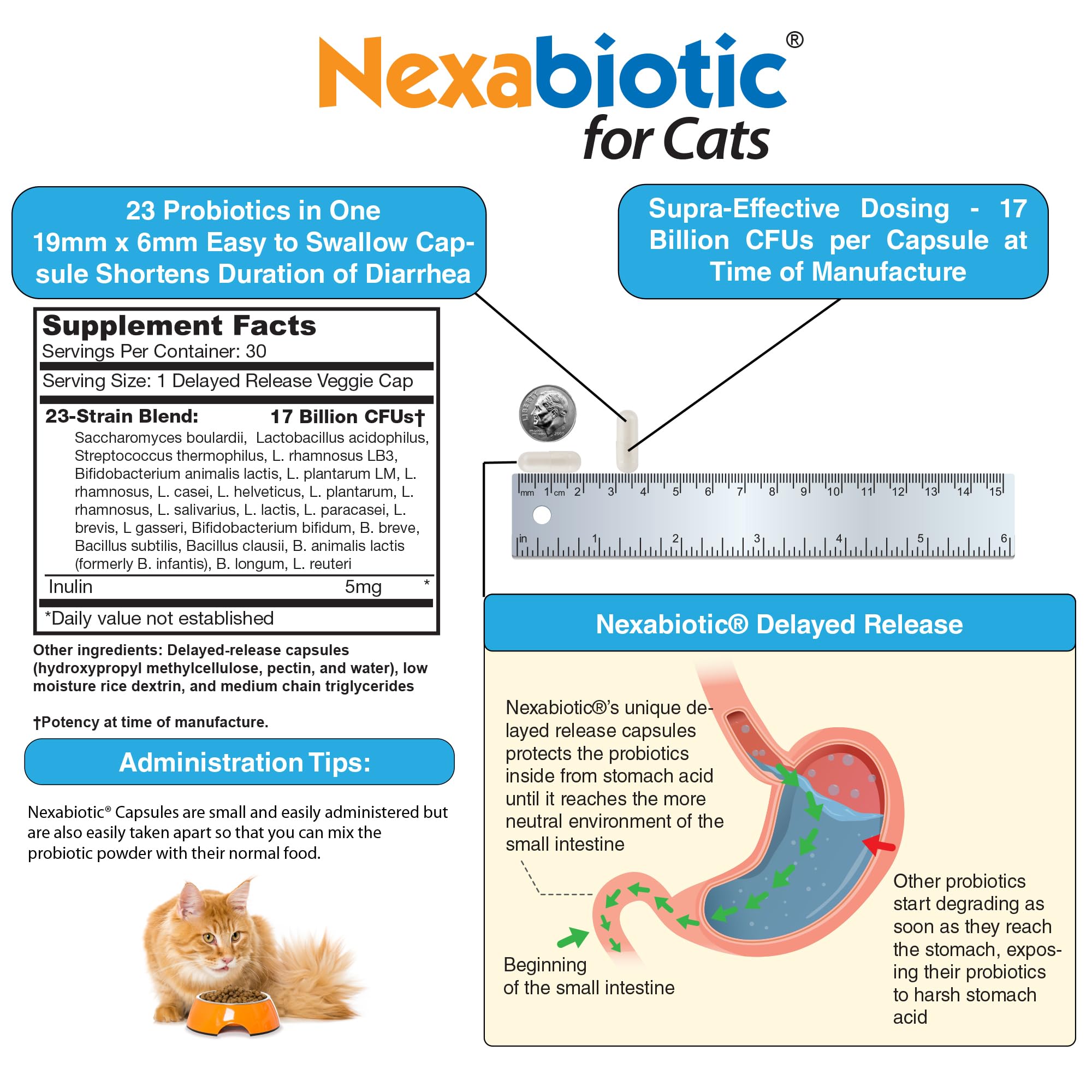 DrFormulas Nexabiotic Cats Powder kitten digestive health in action.