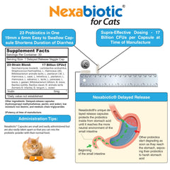 DrFormulas Nexabiotic Cats Powder kitten digestive health in action.