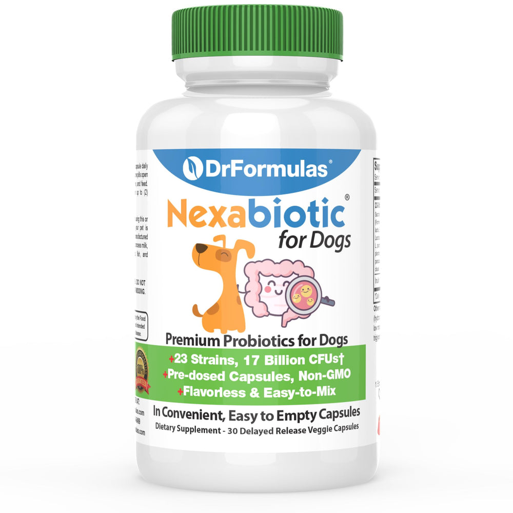 DrFormulas Probiotics for dogs bottle front, supporting digestive balance.