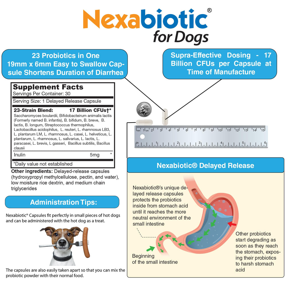 DrFormulas Nexabiotic for puppies, gentle daily routine.