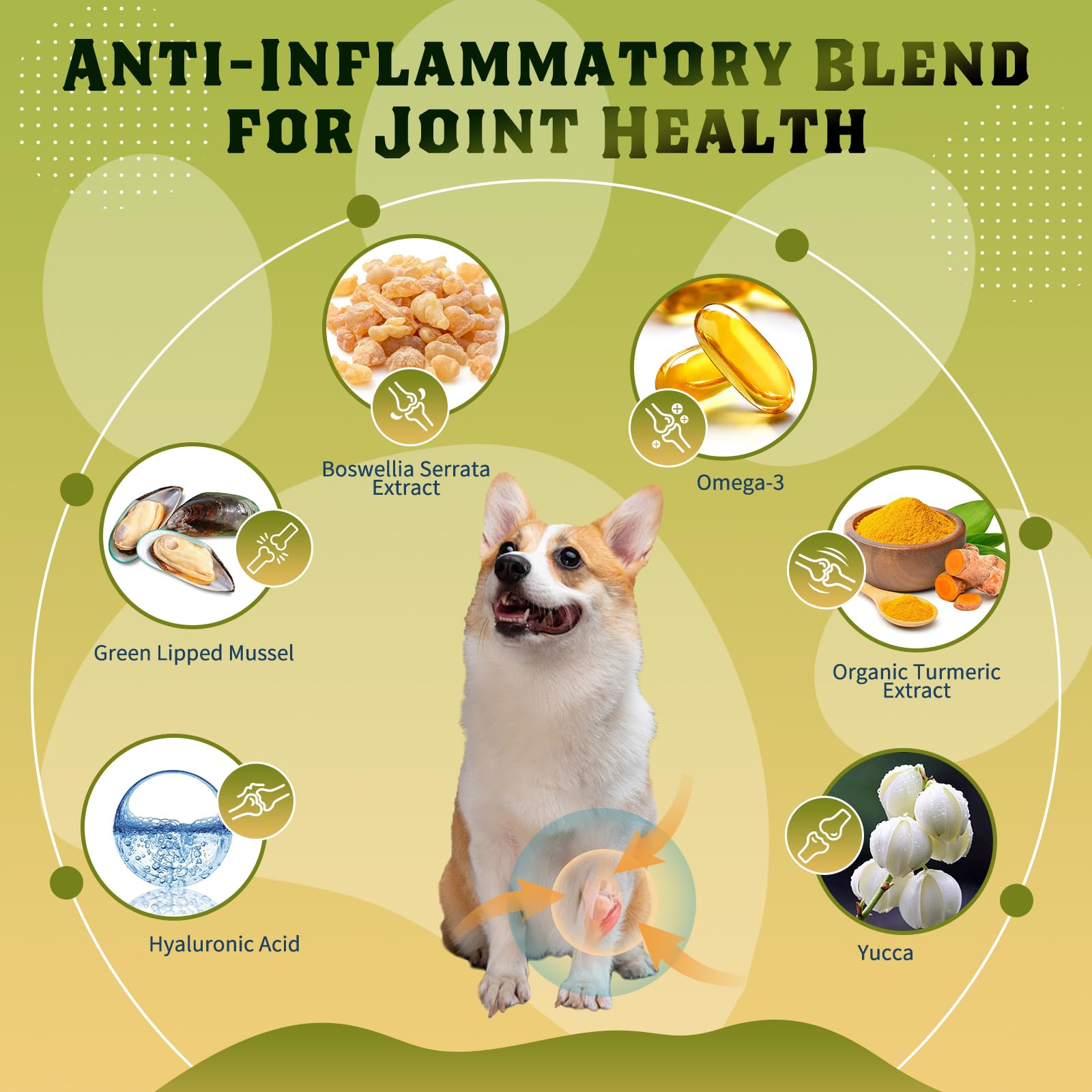 DRFOSTER Digestive enzymes for dogs chews close-up supporting nutrient absorption