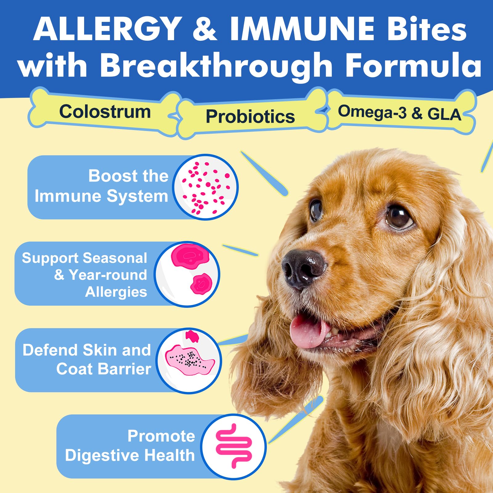 DRFOSTER dog allergy chews serving bowl showcases convenient daily dosing for itch and dry skin relief.