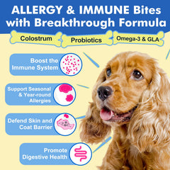 DRFOSTER dog allergy chews serving bowl showcases convenient daily dosing for itch and dry skin relief.
