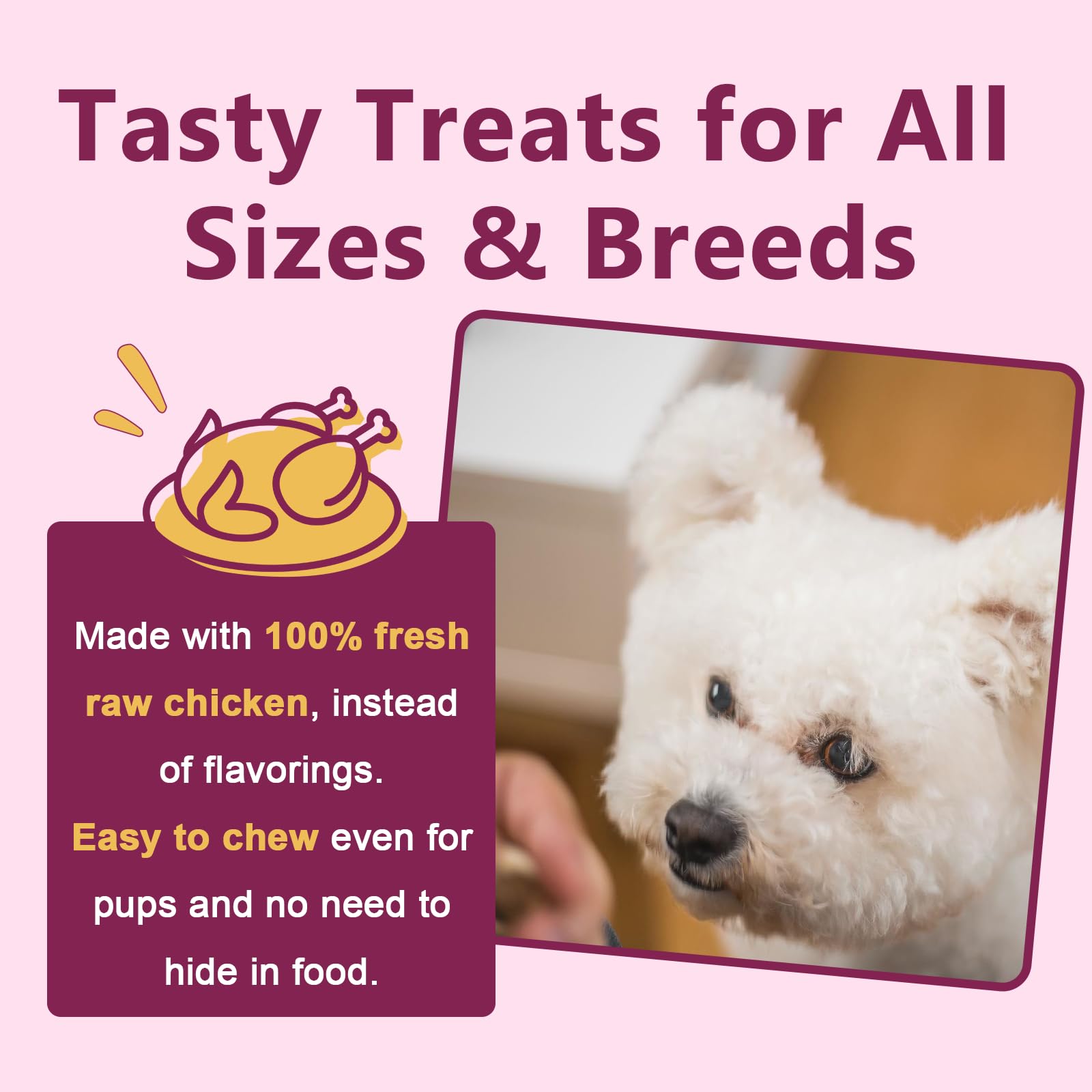 DRFOSTER chicken-flavor probiotic chews as tasty daily treats