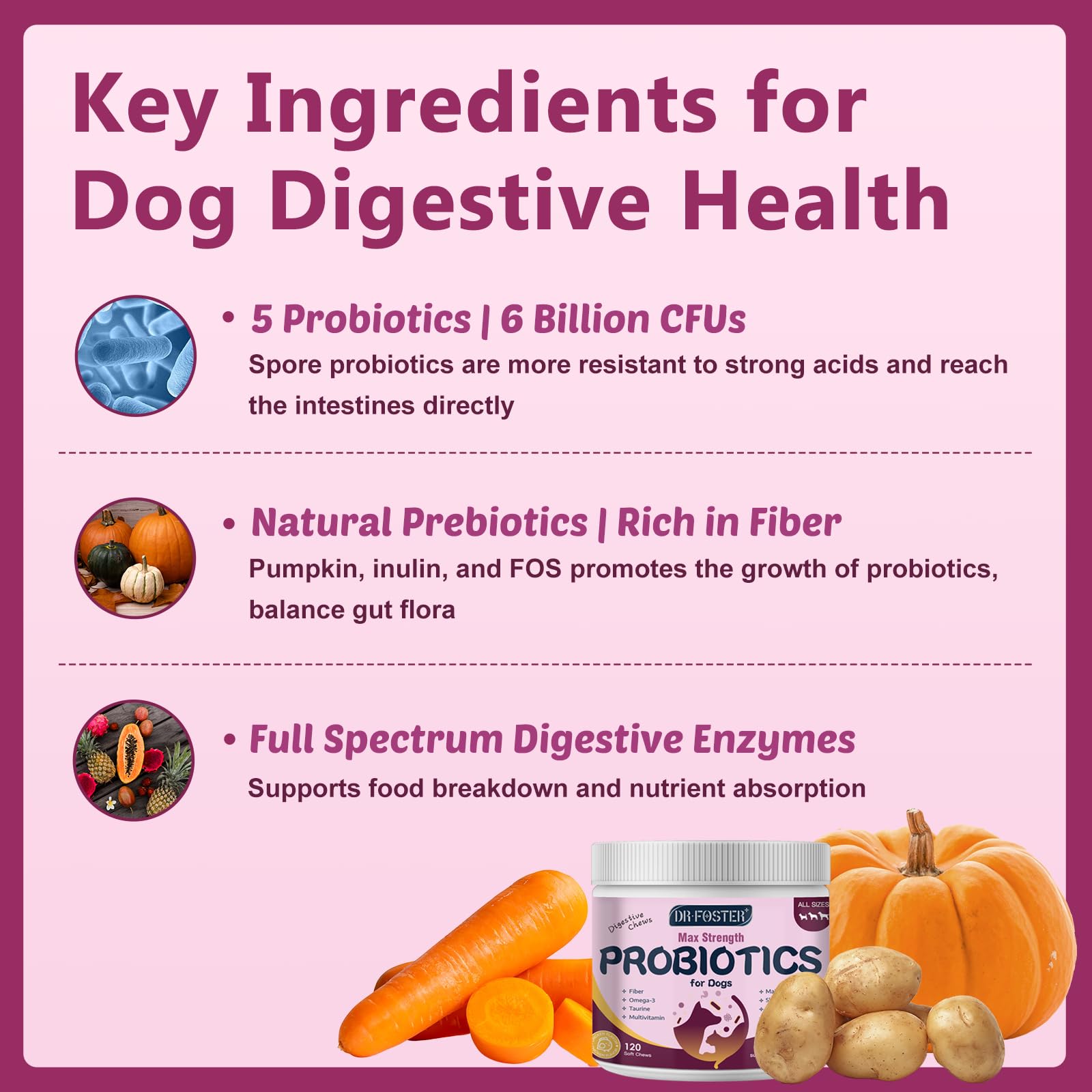 DRFOSTER dog digestive enzymes chews aiding digestion