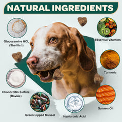 Turmeric and omega 3 visuals signaling natural daily comfort for dogs