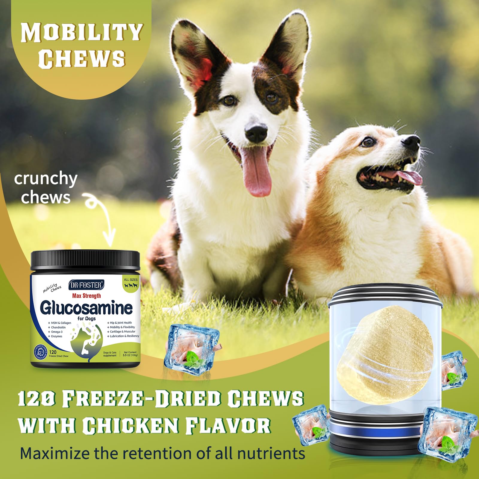 DRFOSTER Glucosamine for Dogs hip joint bottle shot emphasizing mobility benefits