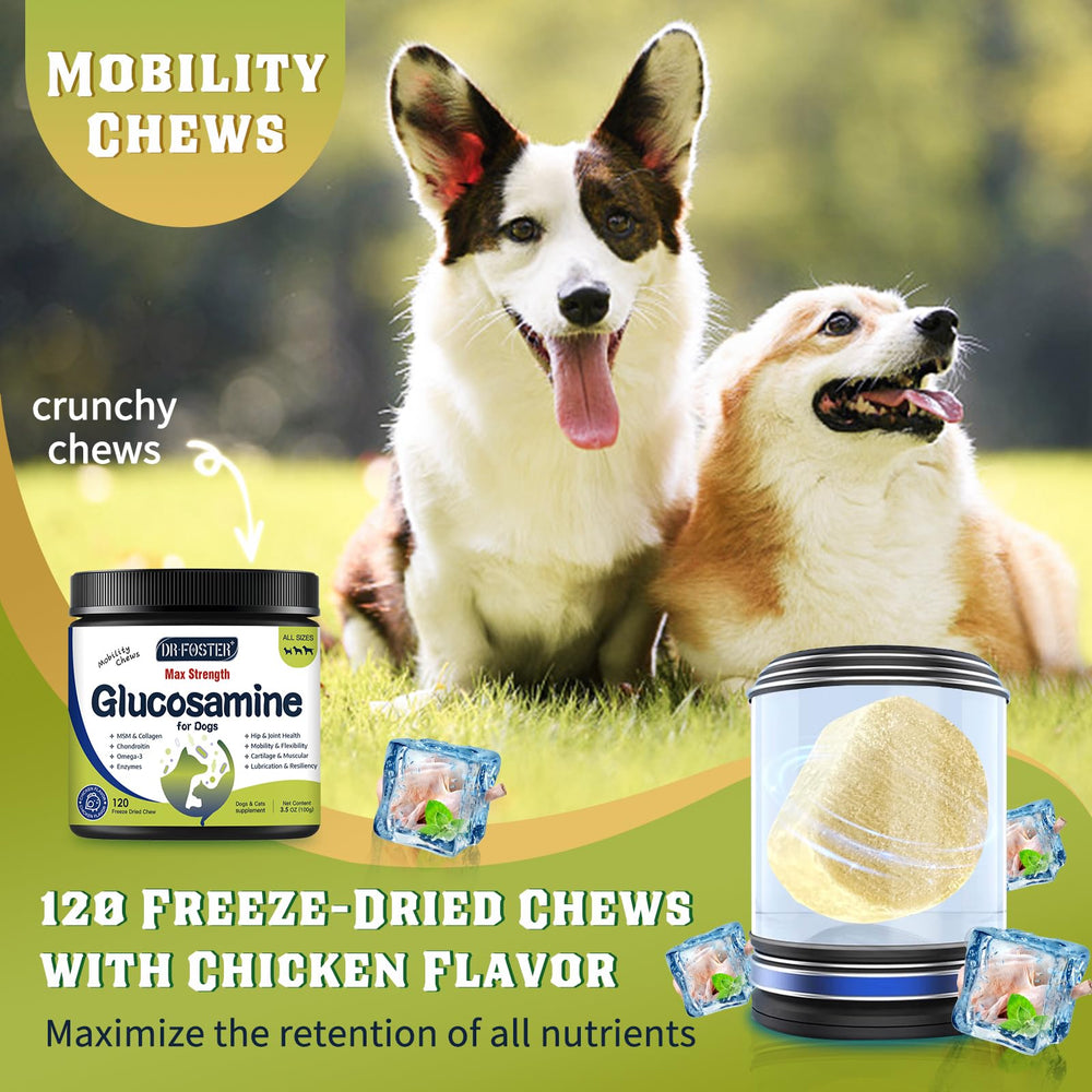 DRFOSTER Glucosamine for Dogs hip joint bottle shot emphasizing mobility benefits