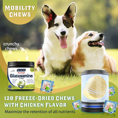 DRFOSTER Glucosamine for Dogs hip joint bottle shot emphasizing mobility benefits
