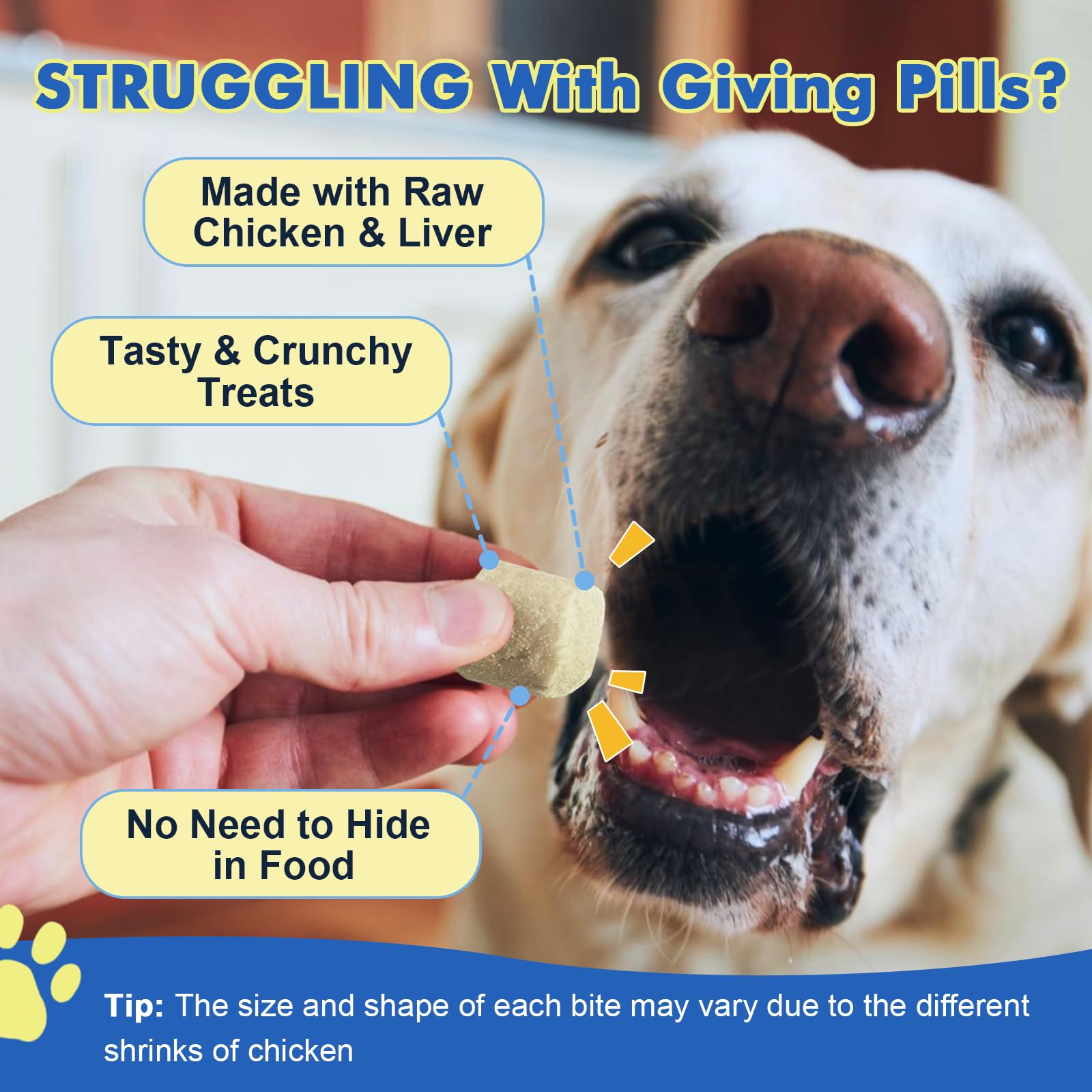 DRFOSTER dog itch-relief action captures quercetin and bromelain working with natural anti-inflammatory allies.